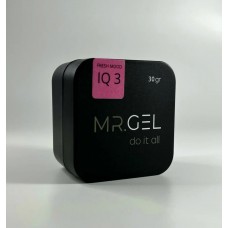 Mr.Gel Fresh Mood gel №03 15ml