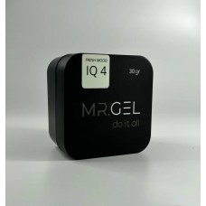 Mr.Gel Fresh Mood gel №04 15ml
