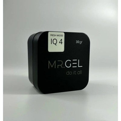 Mr.Gel Fresh Mood gel №04 15ml