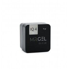 Mr.Gel IQ gel №04 15ml