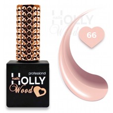HollyWood Classic № 066