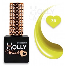 HollyWood Classic № 075
